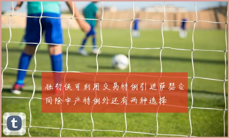 独行侠可利用交易特例引进萨瑟合同除中产特例外还有两种选择